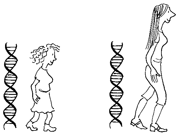 QGEN - Genová exprese